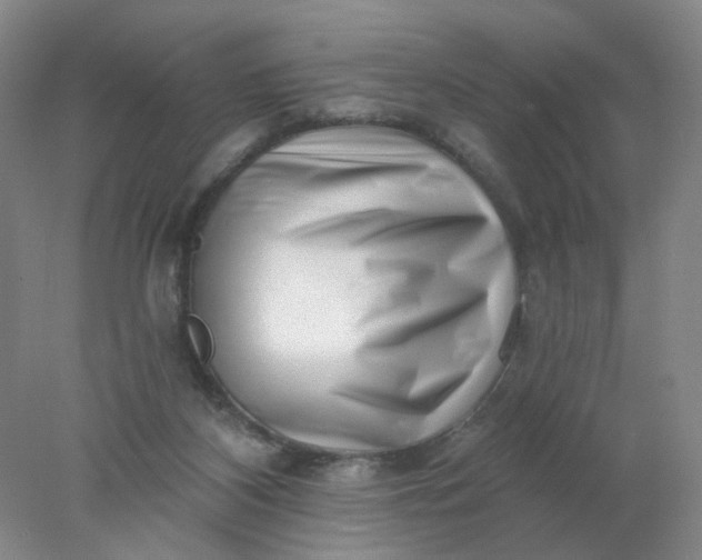 X0000077980116200611101712