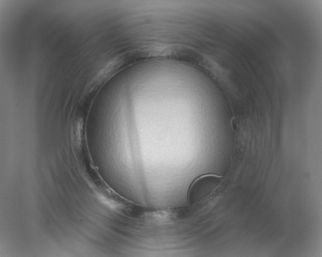 X0000077980118200611101712