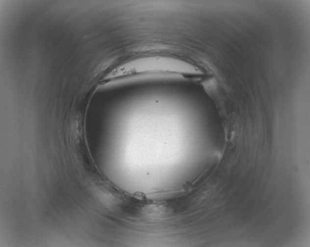 X0000077980119200611101712