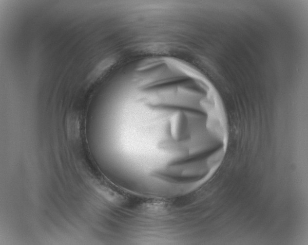 X0000077980120200611101712