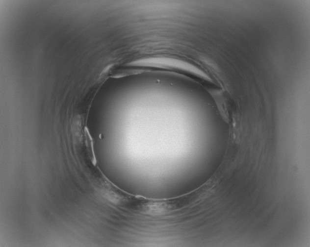 X0000077980121200611101712