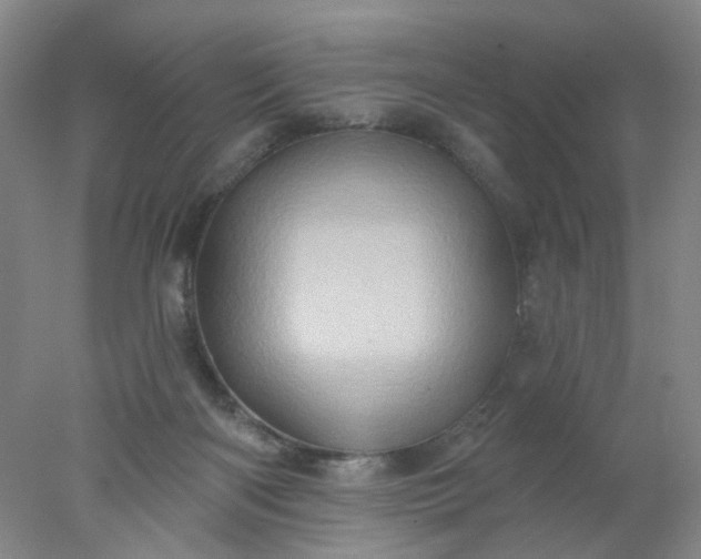 X0000077980122200611101712