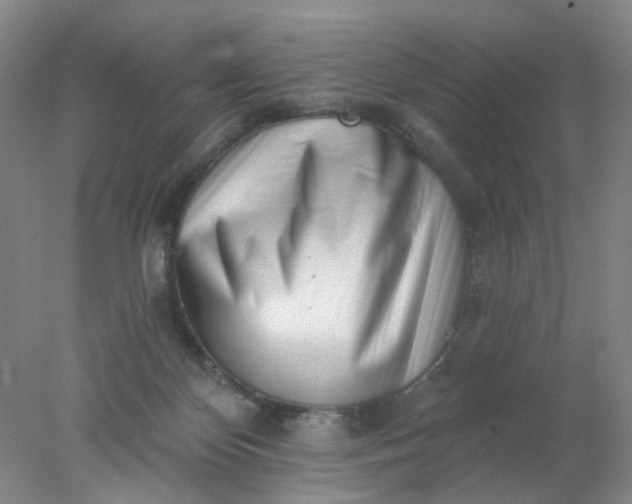 X0000077980124200611101712