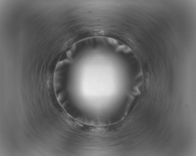 X0000077980125200611101712