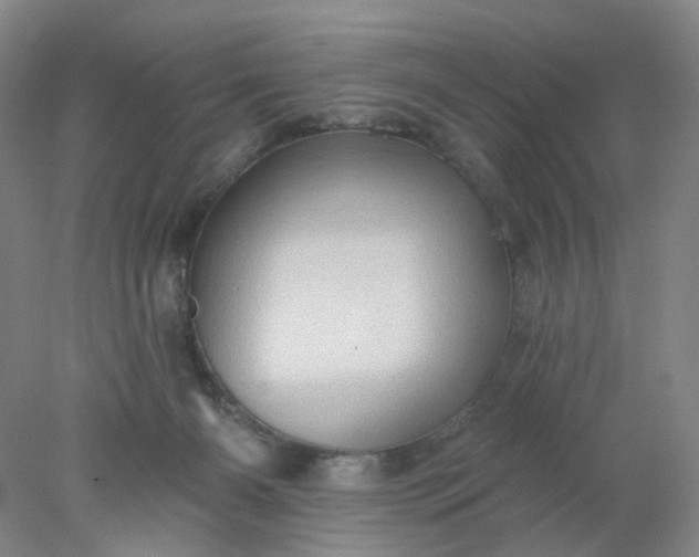 X0000077980126200611101712