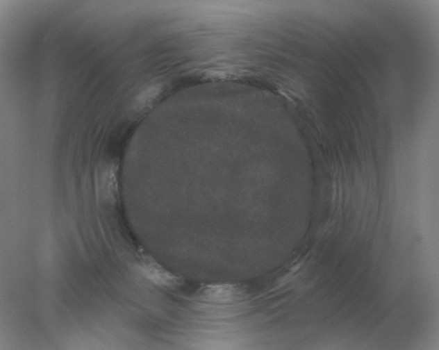 X0000077980127200611101712