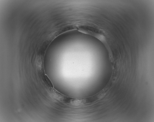 X0000077980129200611101712