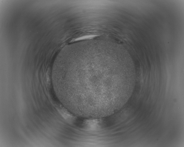 X0000077980131200611101712