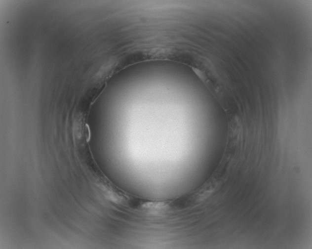 X0000077980133200611101712