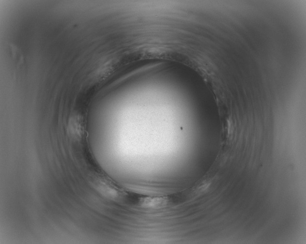 X0000077980135200611101712