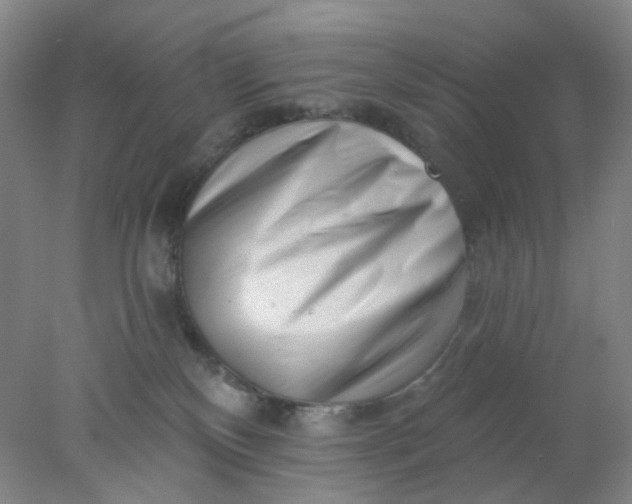 X0000077980136200611101712