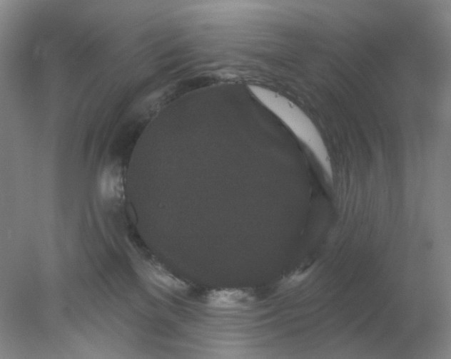 X0000077980137200611101712