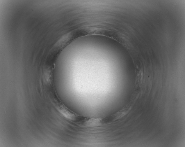 X0000077980138200611101712
