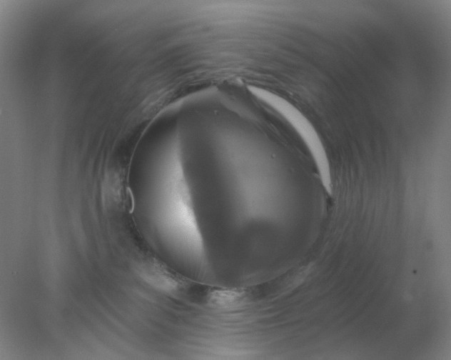 X0000077980139200611101712