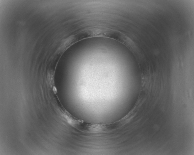 X0000077980142200611101712