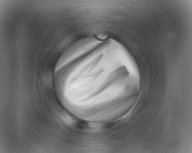 X0000077980144200611101712