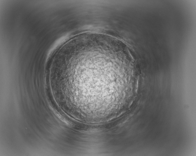 X0000077980149200611101711