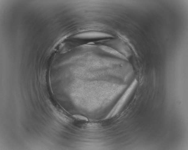 X0000077980154200611101711