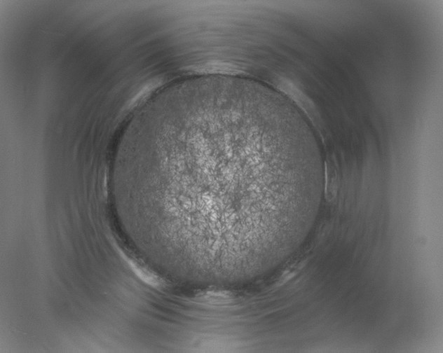 X0000077980157200611101711
