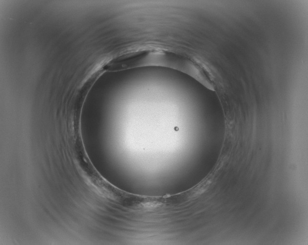 X0000077980158200611101711