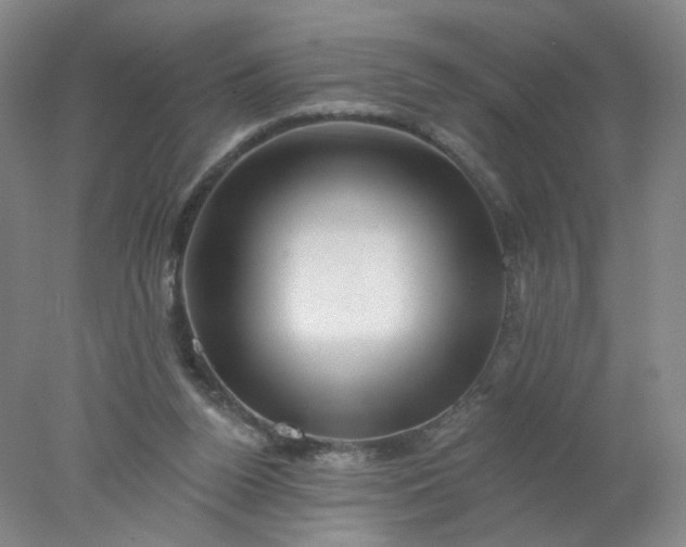X0000077980160200611101711