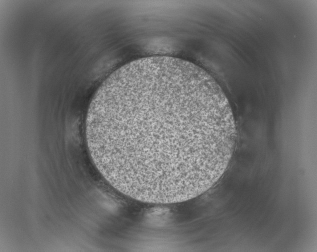 X0000077980162200611101711