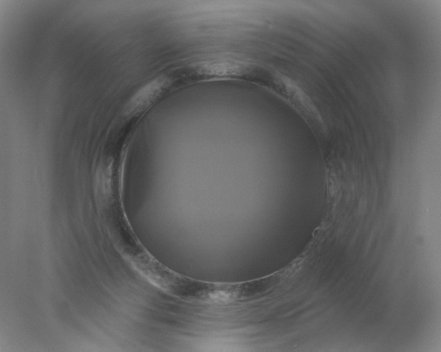 X0000077980163200611101711