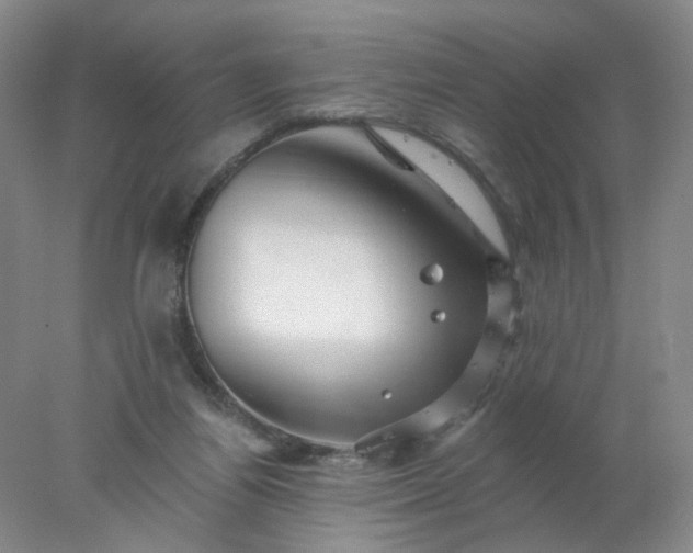 X0000077980164200611101711