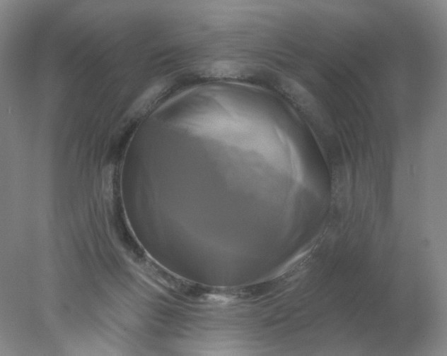 X0000077980167200611101711