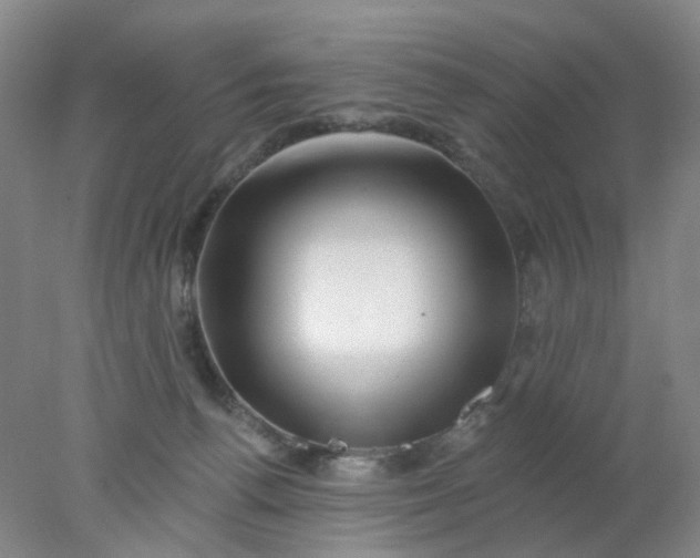 X0000077980176200611101711