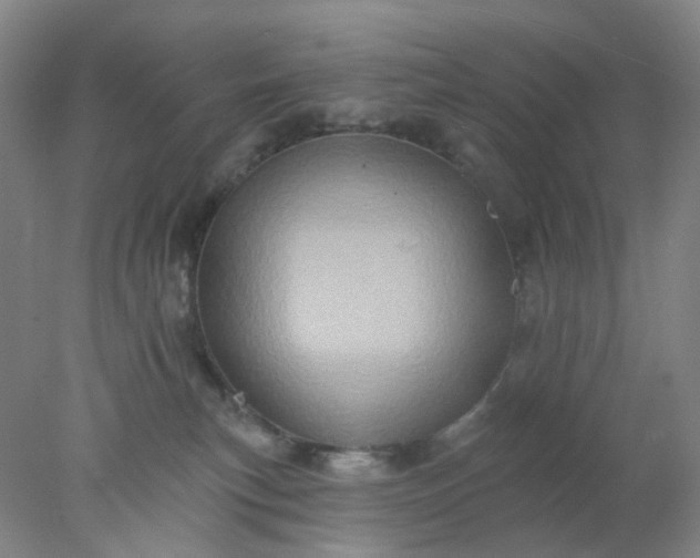X0000077980183200611101712