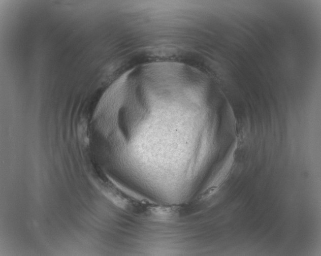 X0000077980187200611101712