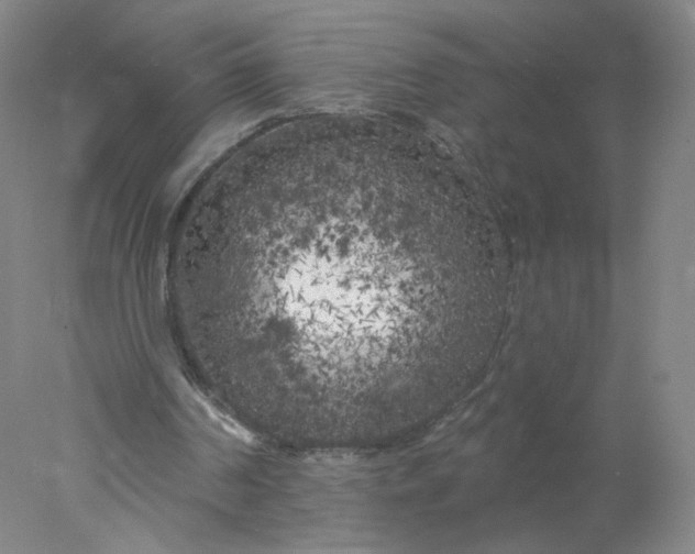 X0000077980194200611101711