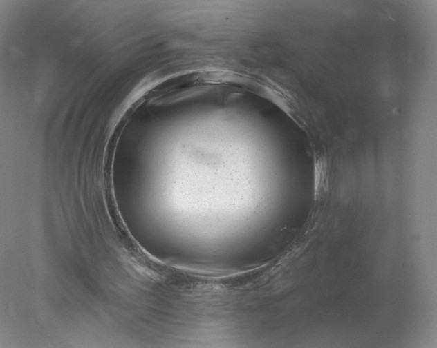 X0000077980195200611101711