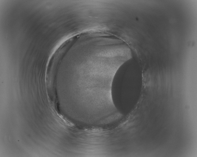 X0000077980196200611101711