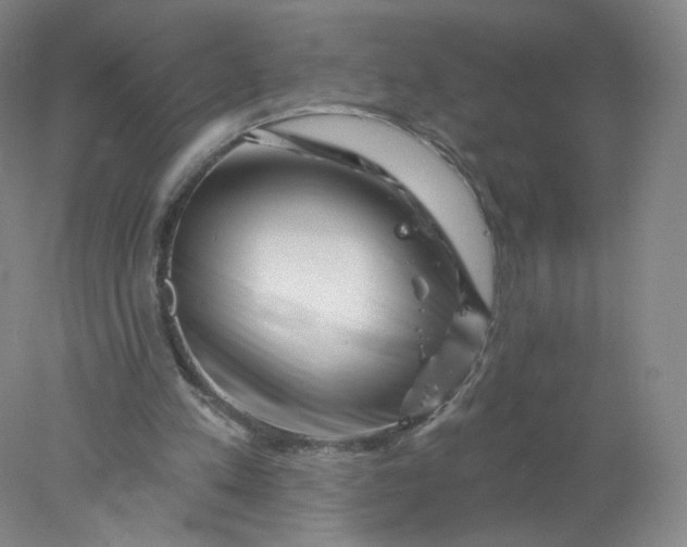 X0000077980197200611101711