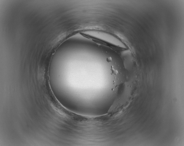 X0000077980201200611101711