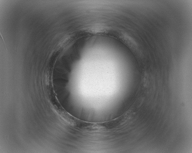X0000077980210200611101711