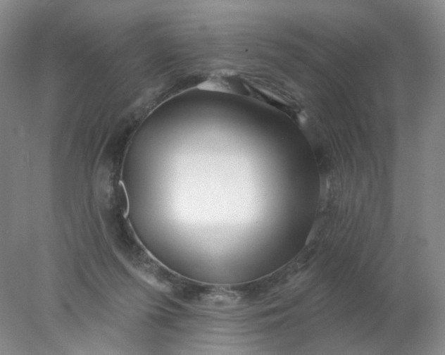 X0000077980215200611101711