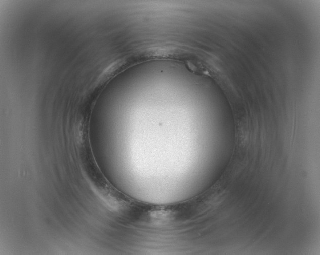 X0000077980216200611101711