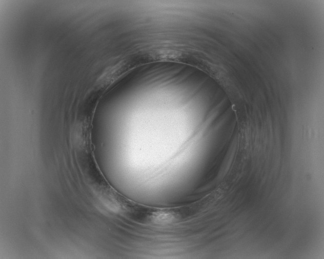X0000077980218200611101710