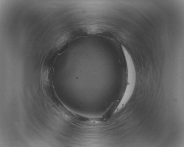 X0000077980219200611101710