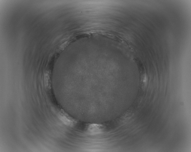 X0000077980222200611101710