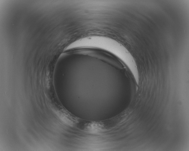 X0000077980223200611101710