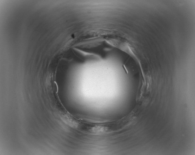 X0000077980225200611101710