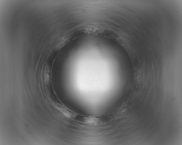 X0000077980226200611101710