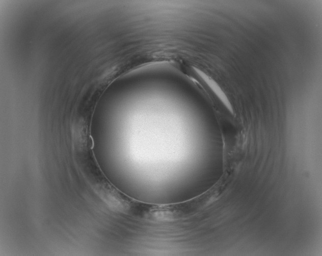 X0000077980228200611101710