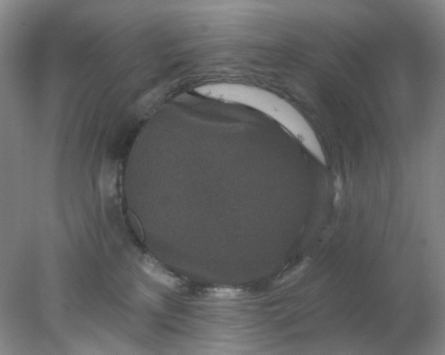 X0000077980233200611101710