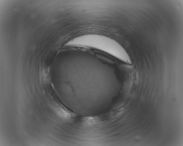 X0000077980239200611101710