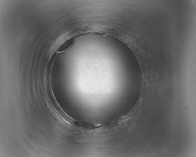 X0000077980242200611101709